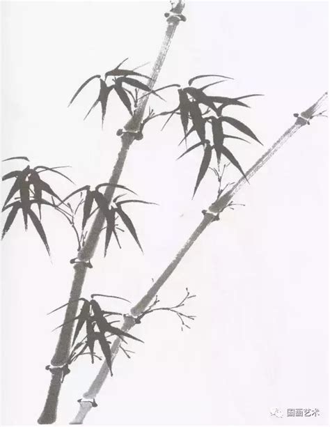 竹子畫法 花帶